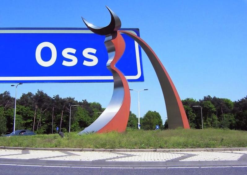 Wifi monteur Oss